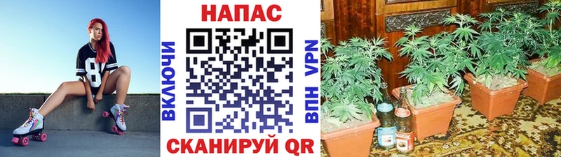 Магазины продажи наркотиков Южноуральск APVP  Меф  Кетамин  ГАШ 