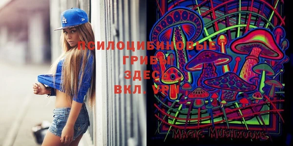 соль курить ск Верхний Тагил